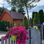 Wczasowe Papaya Kołobrzeg